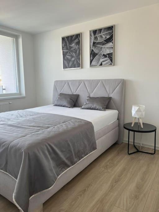 Apartman Centrum S Parkovanim Кошице Экстерьер фото